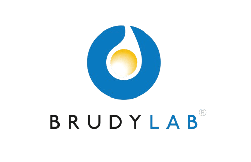 Brudy